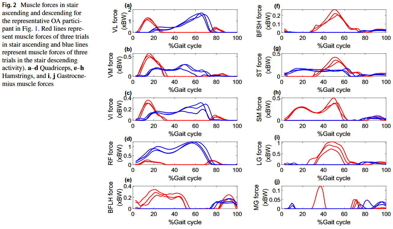 Bilateral Asymmetry in Knee and Hip Musculoskeletal Loading During Stair Ascending/Descending in Individuals with Unilateral Mild-to-Moderate Medial Knee Osteoarthritis